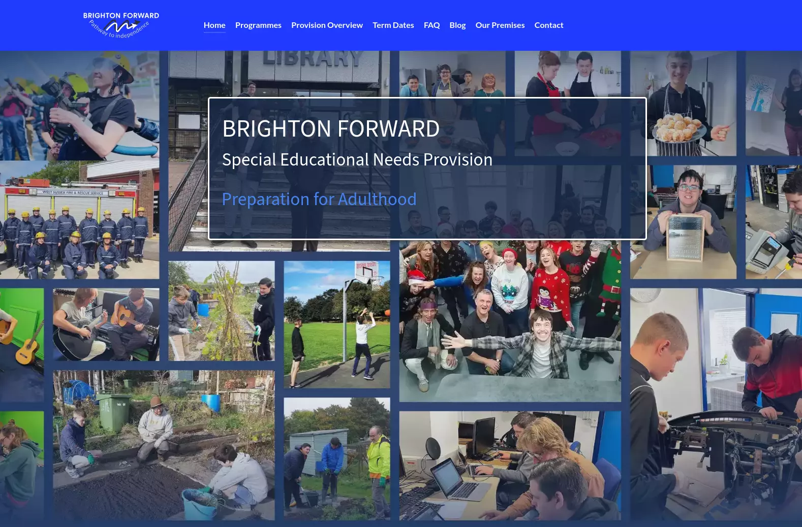 Brighton Forward
